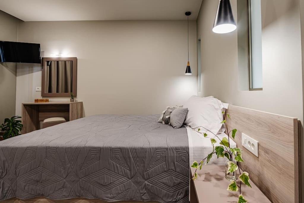 Anemoni Apartment *
